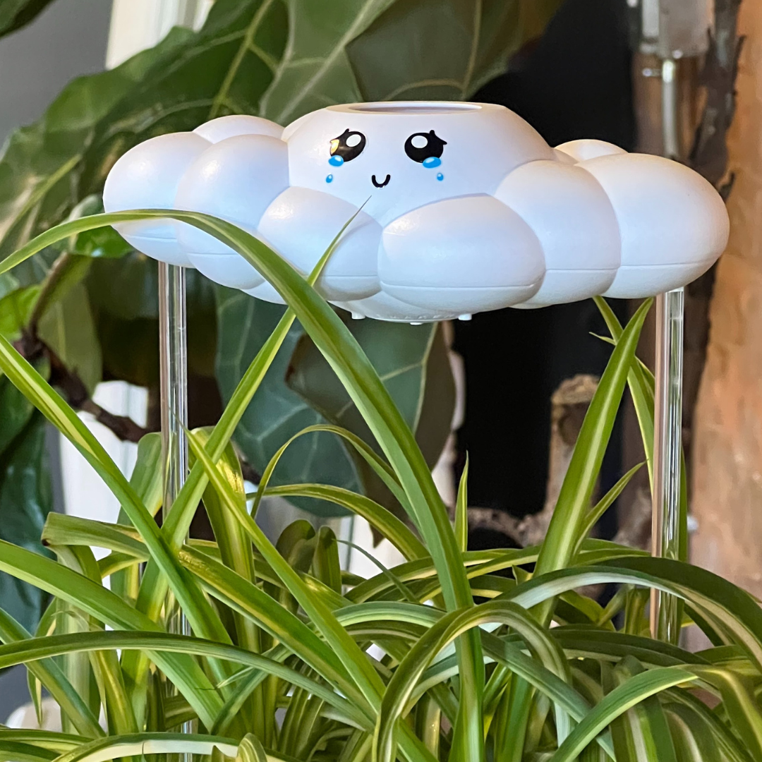Clara The Cloud