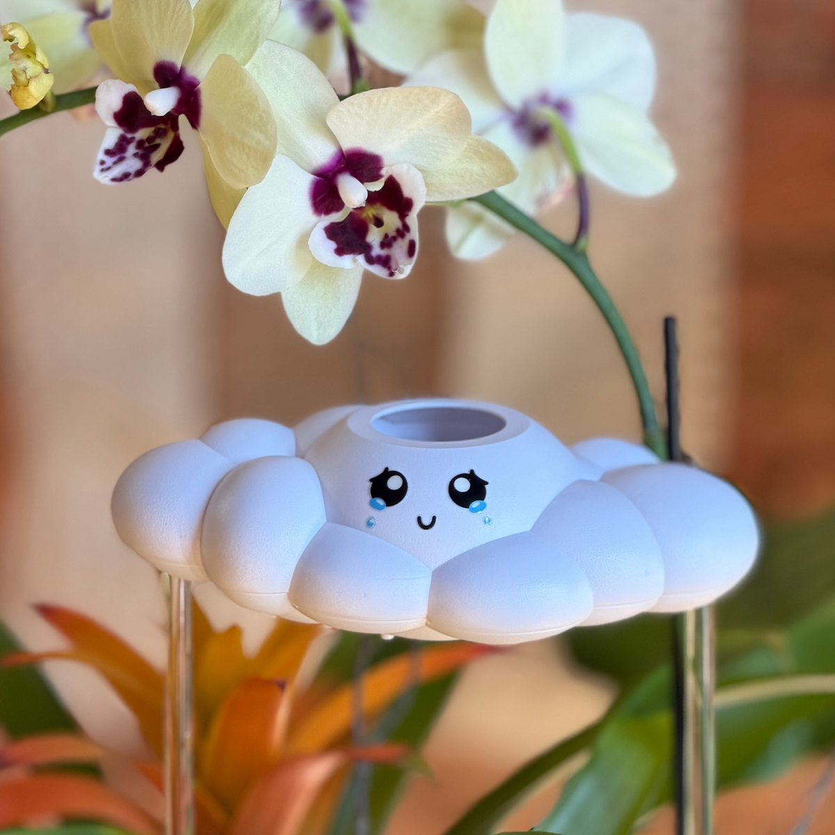 Clara The Cloud